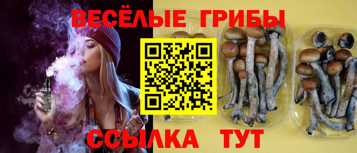 цена наркотик  Псилоцибиновые грибы MAGIC MUSHROOMS  Галлюциногенные грибы ЛСД  Вход с VPN  Ачинск 